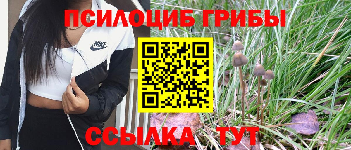 Псилоцибиновые грибы прущие грибы Вичуга