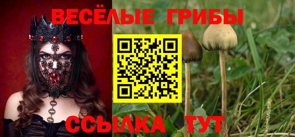 Вичуга  Галлюциногенные грибы Cubensis  цены наркотик  Вход с VPN 